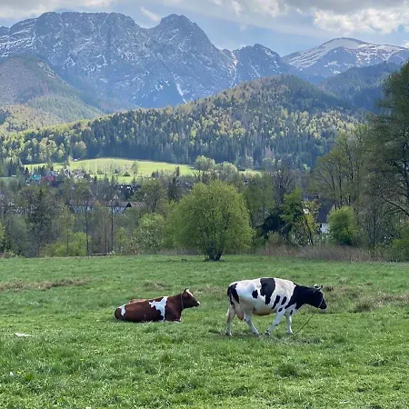 Lejlighed Poleczka Koscielisko Zakopane