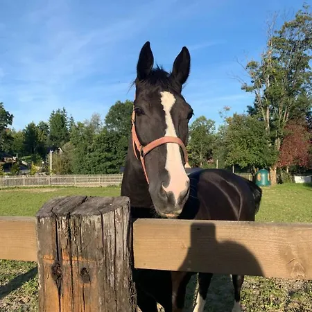 Poleczka Koscielisko Zakopane