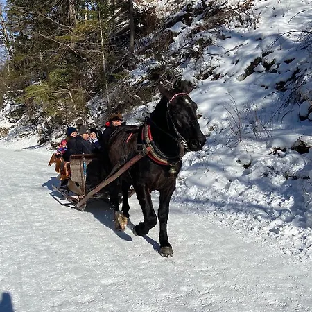 Poleczka Koscielisko Zakopane