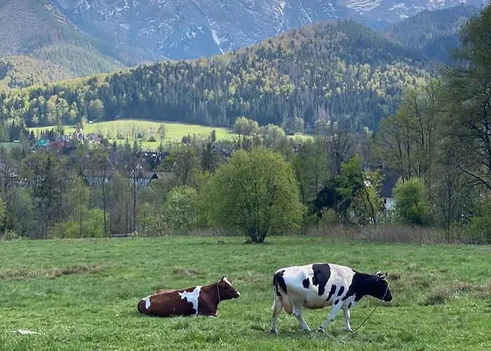 Lägenhet Poleczka Koscielisko Zakopane